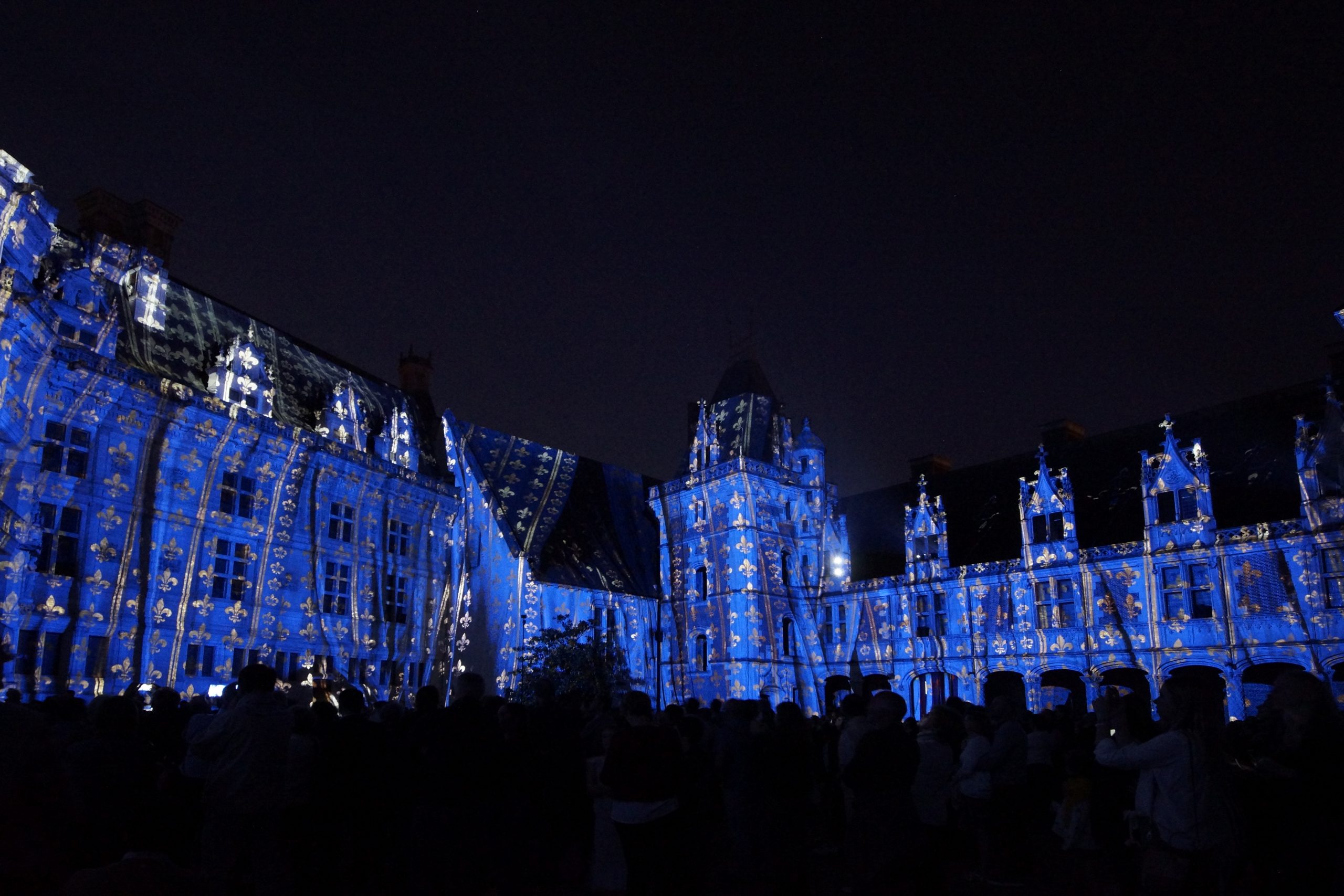 Belles et beaux de nuit: les fleurs nocturnes