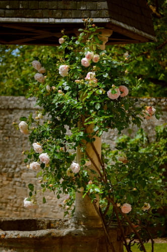 Château de Talcy ©Léonard de Serres - CMN