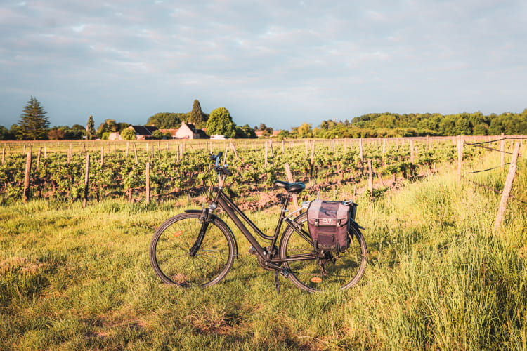 Vélo dans les vignes ©Lezbroz