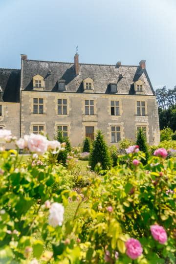 Rose Manoir de la Possonnière, maison natale de Ronsard