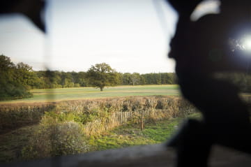 Brame du cerf à Chambord ©Cécile Marino