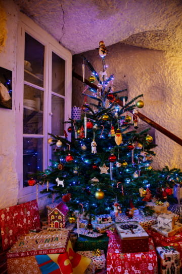 Sapin de Noël la Magnanerie - Les Conteurs Sud Val de Loire