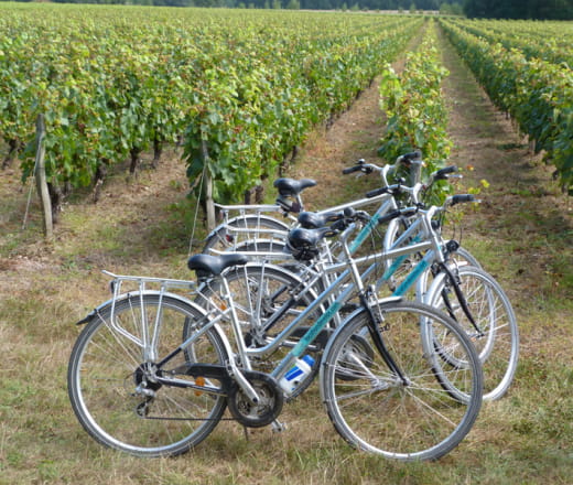 Cyclo Famille au départ de Saint Georges sur Cher