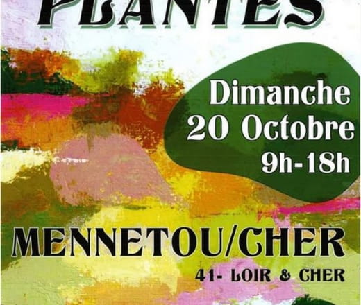 Fête des plantes à Mennetou-sur-Cher Le 20 oct 2024