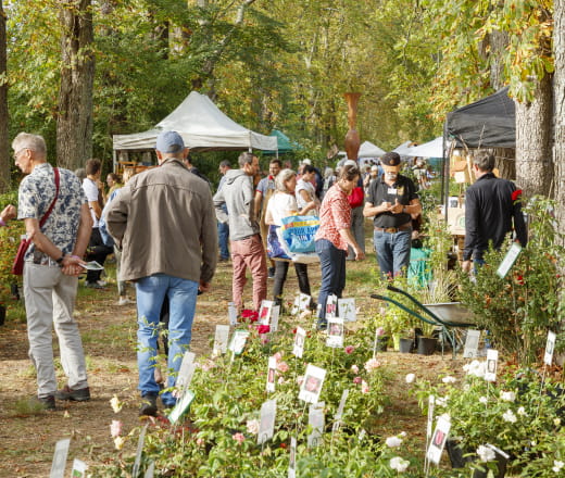 Les Botaniques de Chaumont-sur-Loire Du 21 au 22 sept 2024