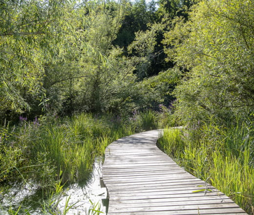 Promenade artistique de Molineuf