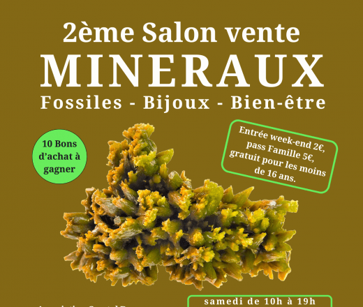 Exposition-vente minéraux, fossiles, bijoux à Romorantin Du 23 au 24 nov 2024