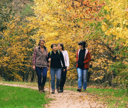 Randonnée pédestre - La Sologne en automne à... Le 17 nov 2024