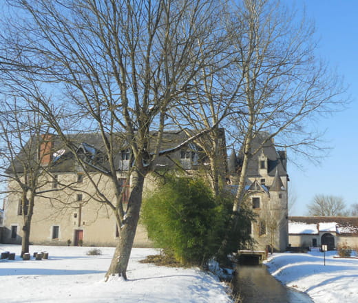 Noël au château de Fougères-sur-Bièvre Du 30/11/2024 au 6/1/2025