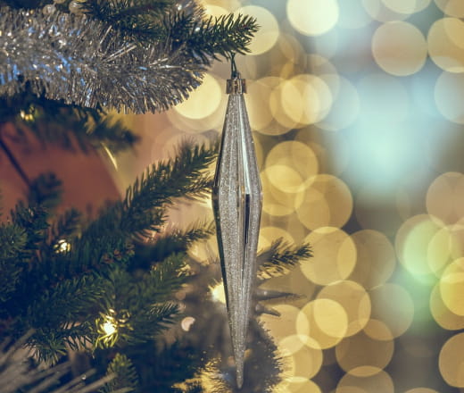 Illumination du sapin de Noël à Savigny-sur-Braye Le 29 nov 2024